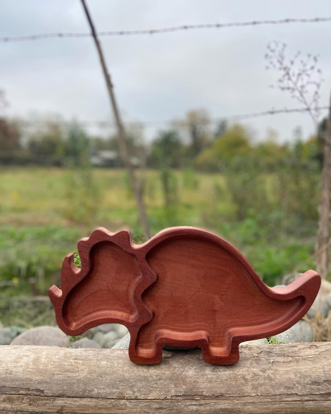 Bandeja de madera con forma de dinosaurio